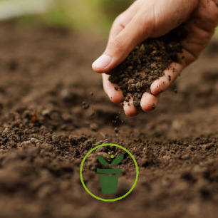 Conseils Pour Nourrir La Terre De Son Potager