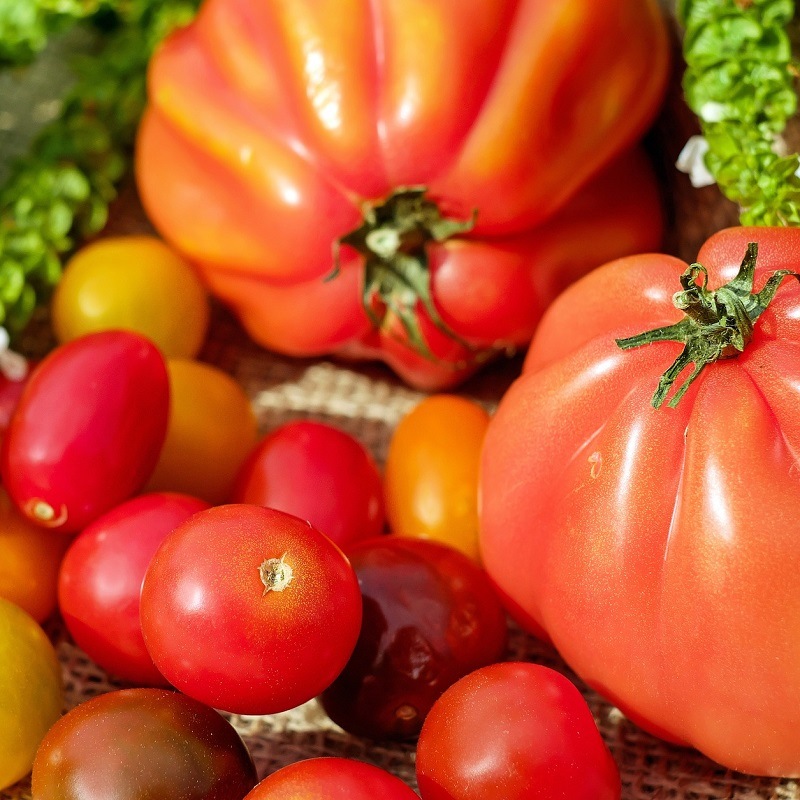 Graines de tomates de différentes formes et couleurs - Pack 7 variétés