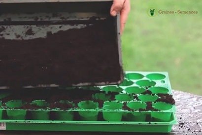 Plaque alvéolée: Créer une plaque alvéolée pour les semis 100% recyclée 