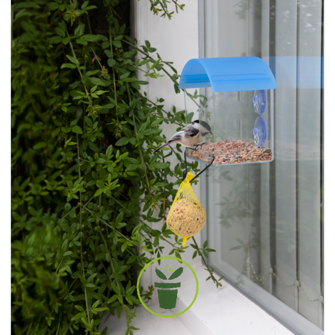 Fenêtre en acrylique transparent Mangeoire à oiseaux Mangeoire à