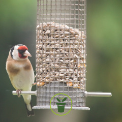 Distributeur de graines de tournesol pour oiseaux - Hello-birdy