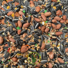 KEYSTONE Graines de tournesol pour oiseaux, 50 lbs STRIPES-50LB