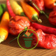 Piments originaux : sortez des sentiers battus !