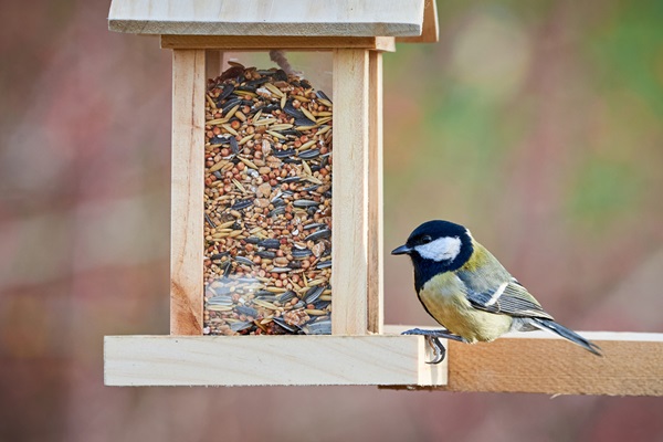 Mangeoires pour oiseaux